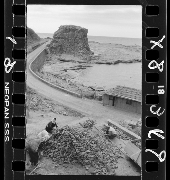 Oodosesakinosenjoujiki