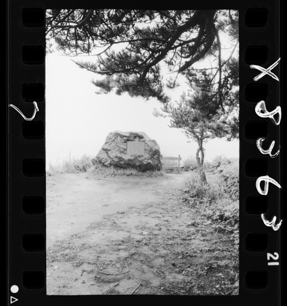 Dazaiosamunohi.kanitamachi