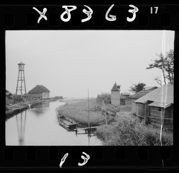 Nyuugyuunitenjitanoka,sabiretagyosonniatarashiisairogatatsu