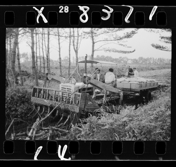 Kamikitachihounokaihatsu torakutādehiryouwohakobu