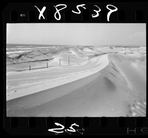 Sakyuunohattatsushitaoosugafukinnokaigan