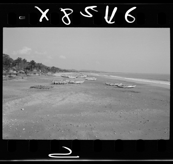 Haibarafukin.heitannakaigansennigyosongatenzaisuru