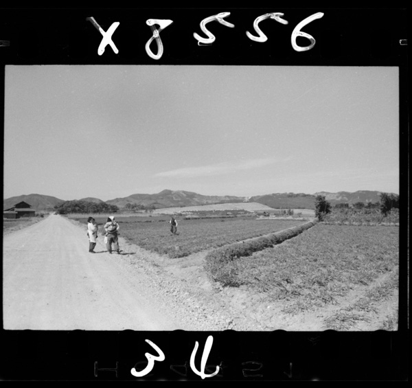 Mikataharanokyuuenshuuchihakaitakuchininatteiru