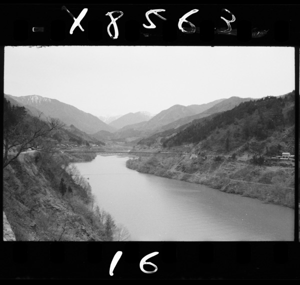 Ikawadamunojouryuukarahoppouwomiru