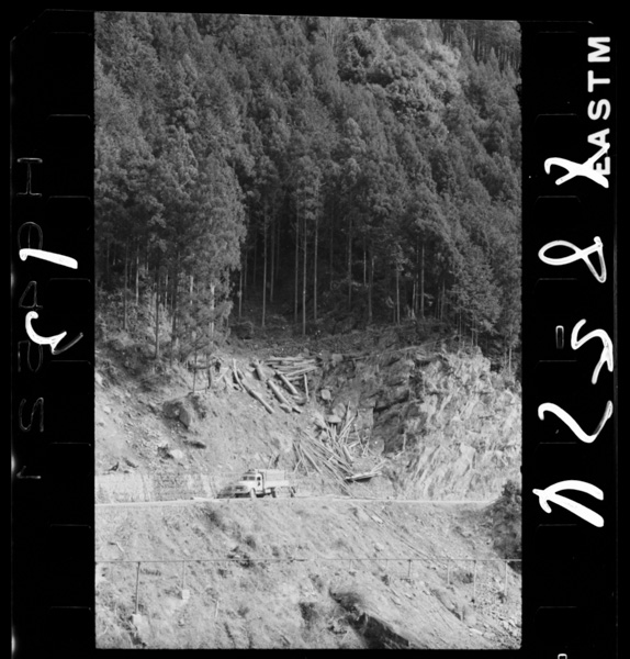 Mokuzaiunpannotorakku