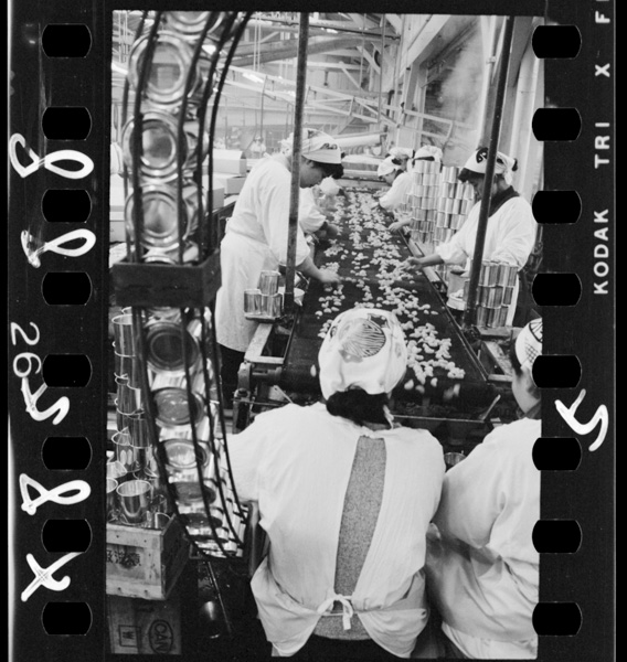 Shimizushinokanzumekoujou