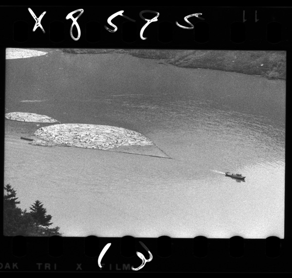 Ikadahasugatawokeshi,damunotansuiwozaimokuwohiitafunegayuku