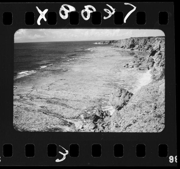 裾礁.干潮時には広く干出する〔鹿児島県 沖永良部島〕
