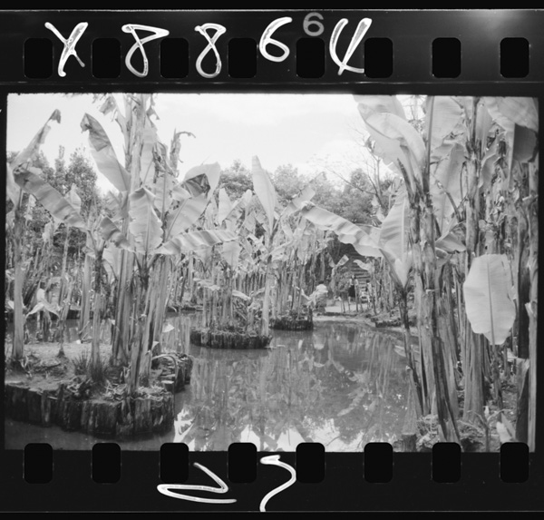 Bashounooishigerujidouyuuenchi