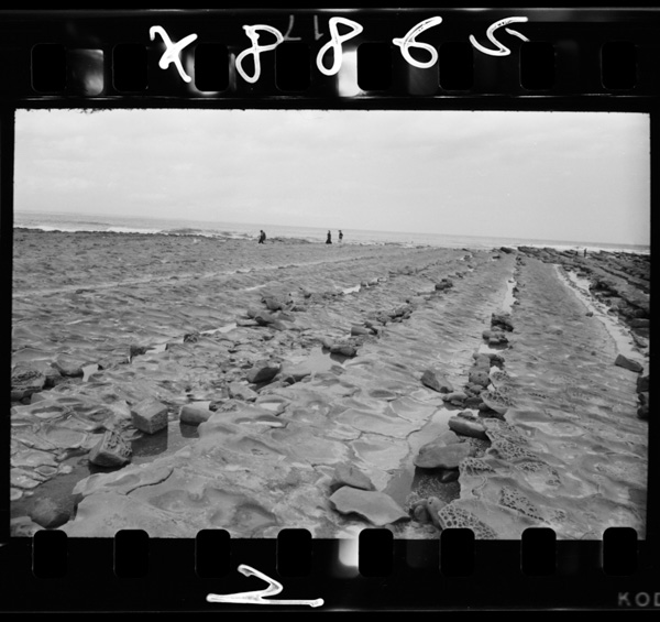 Oninosentakuiwatoyobareruaoshimameibutsunoryuukikaishounohashokukon