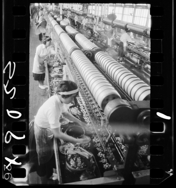 Seishikoujou.miyakonojoushi