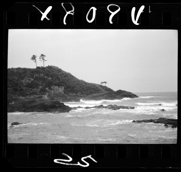 日向市伊勢ガ浜.県北海岸の景勝地