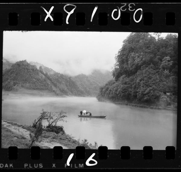 Saigoudamufukin.funedetsuugakusurukodomotachi