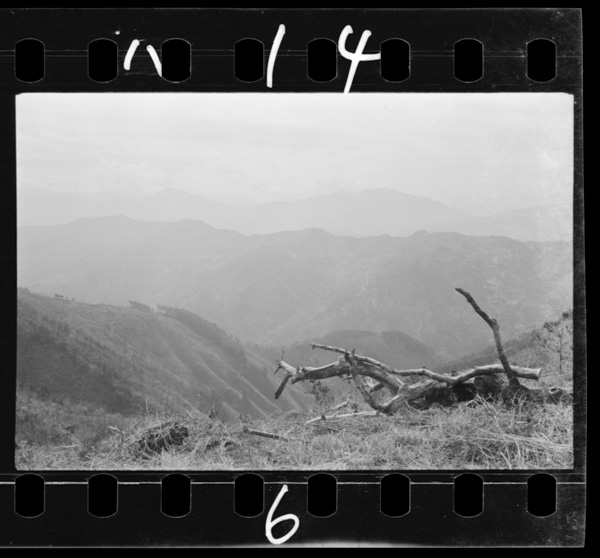 Awatosanukinokunizakai.tenshounomukashi,chousokabemotochikahakokokaraa,san,inosangawonozomi,shikokuheidonnokokorozashiwookoshita.sonoheikanihachijuuhachikateranodaibubunhayakiharawareta