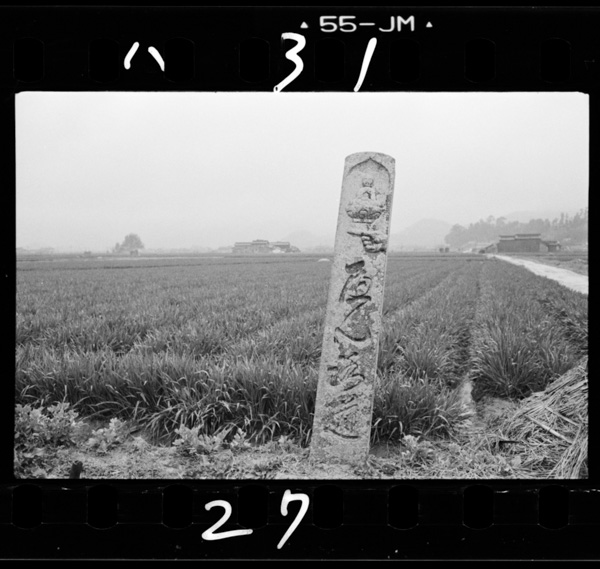 Nankouboukaranishihekendouwokoshi,「henromichi」nodouhyounimichibikaretetaisanjihe