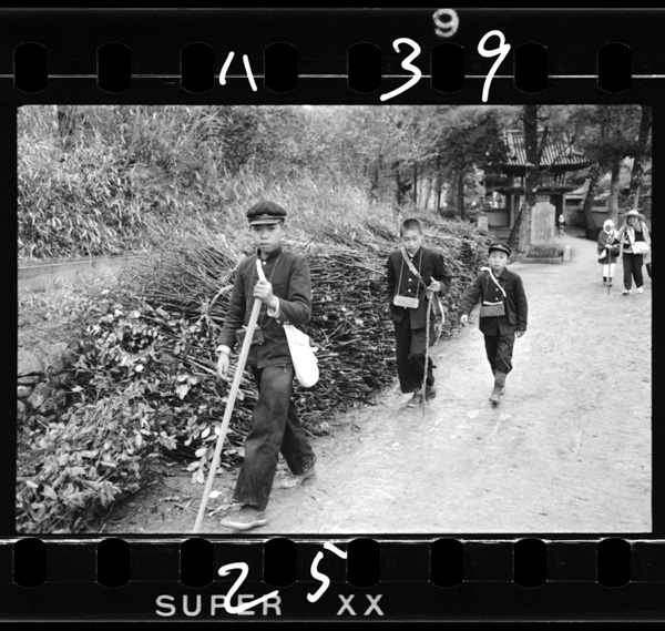 Jukkateramegurinohaikingu