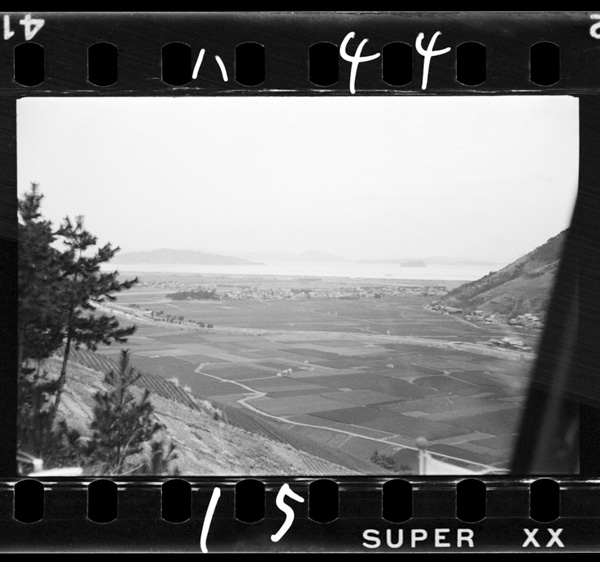 Shirominejikarashitanouchiuminoshiwakushotougamieru