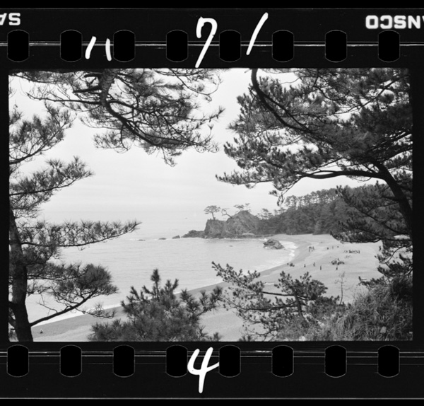 Daisanjuunibankaratanezakidefuneninori,uradowankouwoyogiri,hakushaseishou,tsukinoutsukushiikatsurahamahe