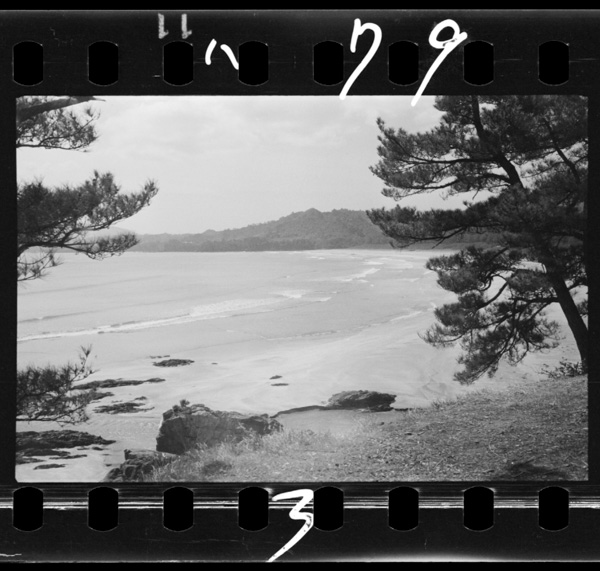 Arigasaki.taiheiyounonaminiarawaretafuukei