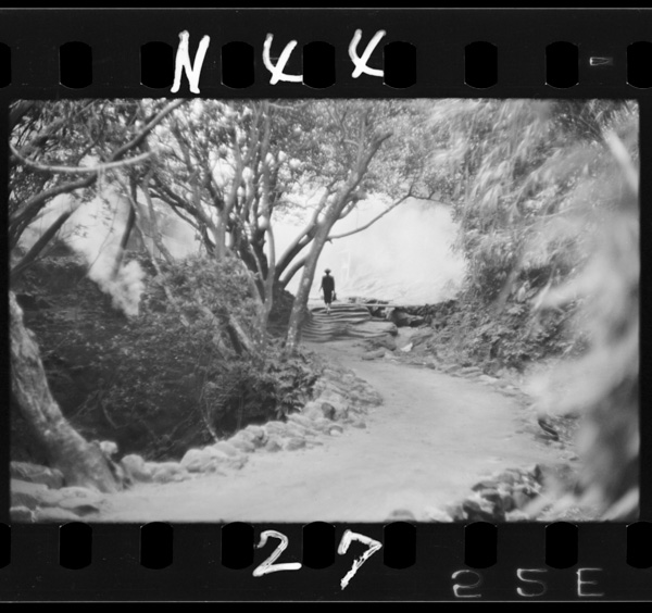 Takeshimanomenukidoori