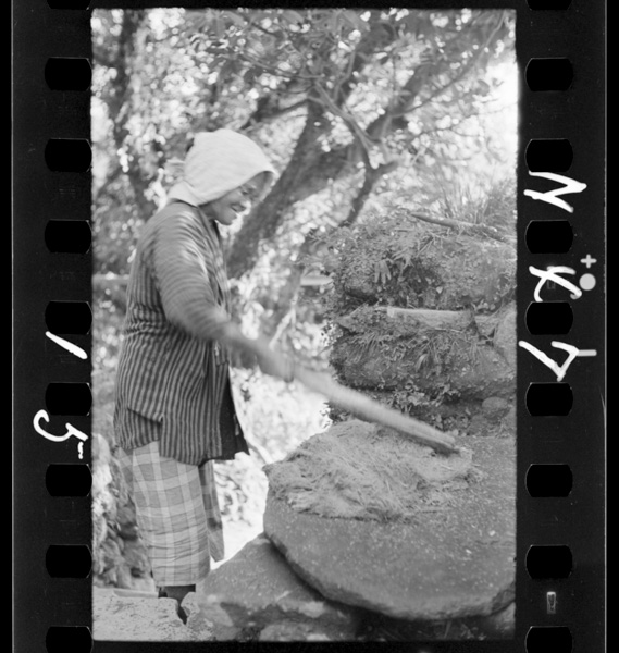 Kannedangonotsukurikata ④seninikudaite