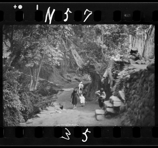 Hokanoshimayorizuttohiroimichi