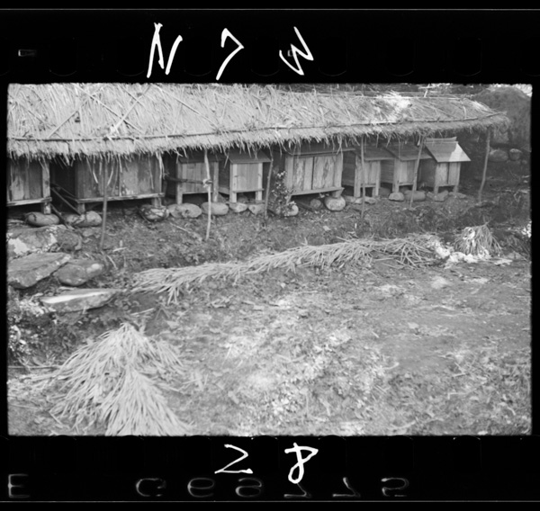 Hondenwokakomuyashironomure