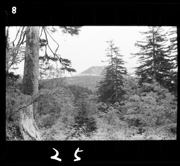 Yukomanbetsufukinnoshinkatsukonkourin