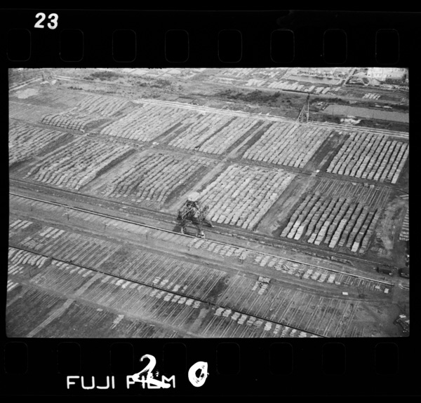 Seishikoujounochobokujou