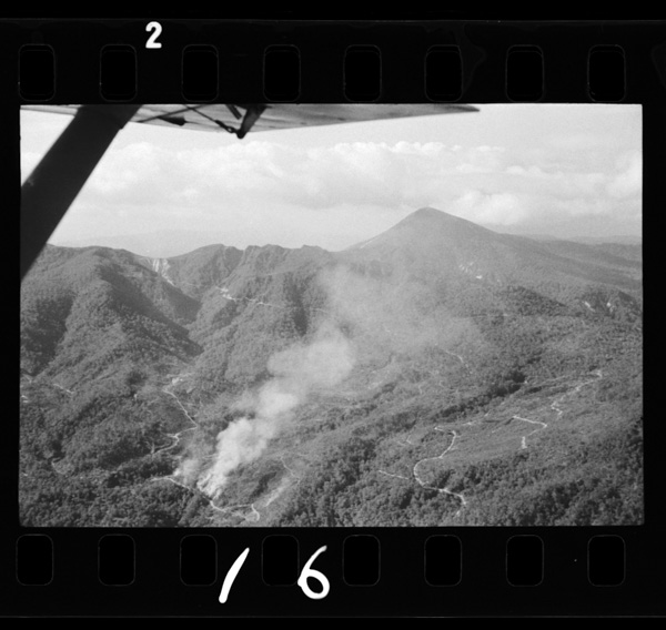 Touyakotokuttarakonochuukannihaorofureyama(1231mētoru)gaaru