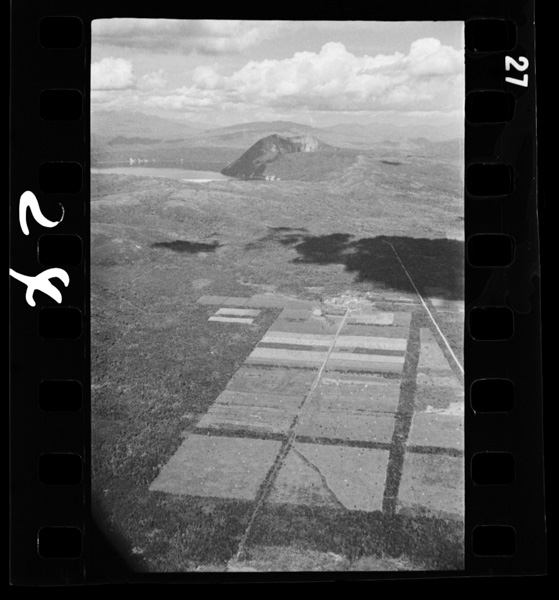 Takushokujisshuujoutomashuuko