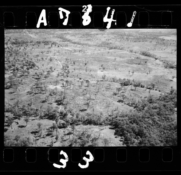 Konsengenya.amimenoyounachiisaitanitokifukunitokushokugaaru