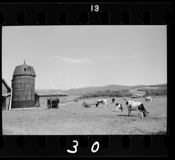 Nayorobonchinorakunouha50nenkuraimae,machinigyuunyuuwokyoukyuusurutamenihajimatta