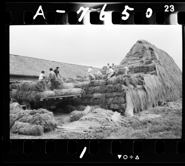 Nayoroshinoamakoujou.douhokuittaikaraamawoshuuka