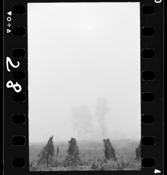 Ishikariheiyanitachikomerunoumu