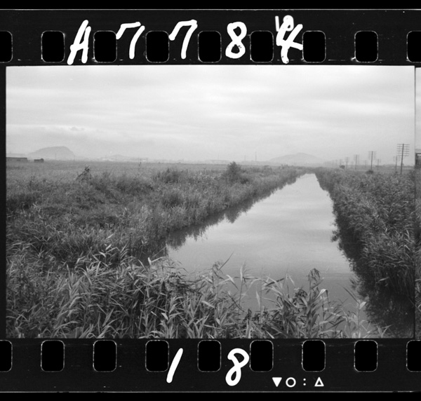 Meiji20nentondenheiganyuushokushitawanishiteishitchi