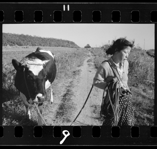 Nyuugyuuwoarukaseruonna