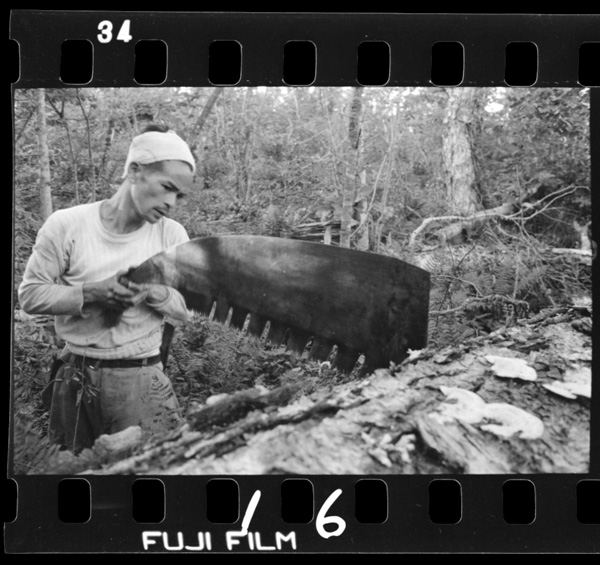 Taibokuwokirukikori.konohitomotookukarakitadekasegida