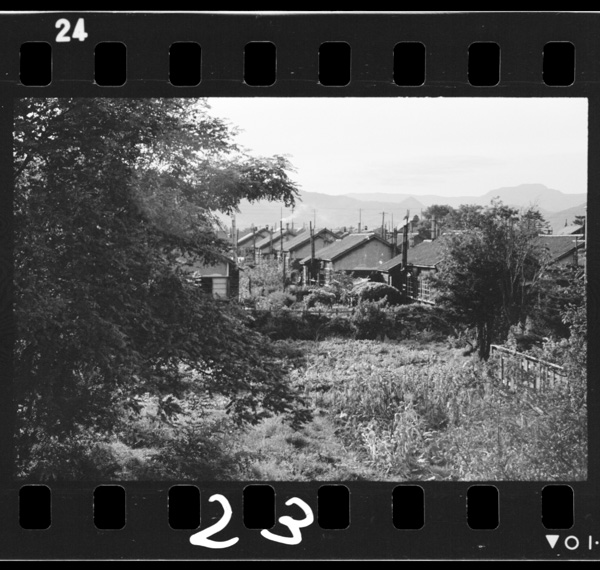 Machihayamanisottenobiru(miyanomori)