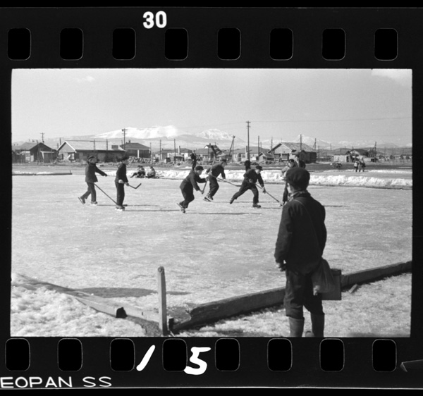 Fuyu.shougakkounokouteinihasukētorinkugatsukurareru