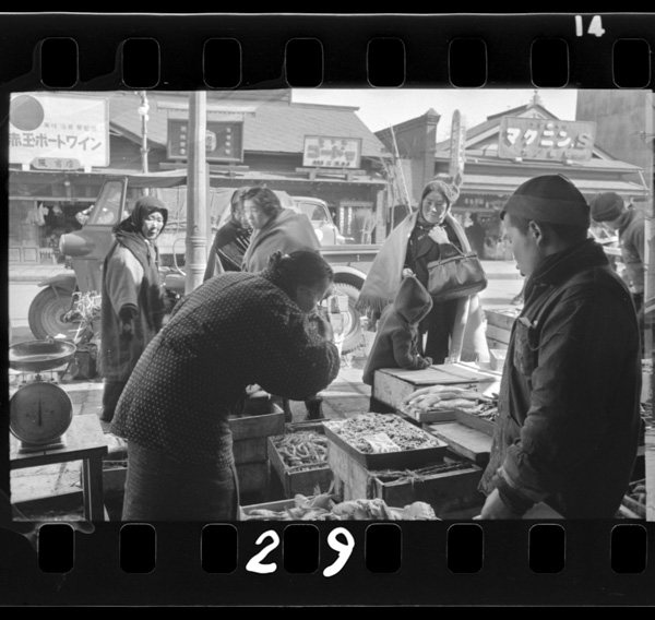 Kaimonosurukakumakinoonnatachi