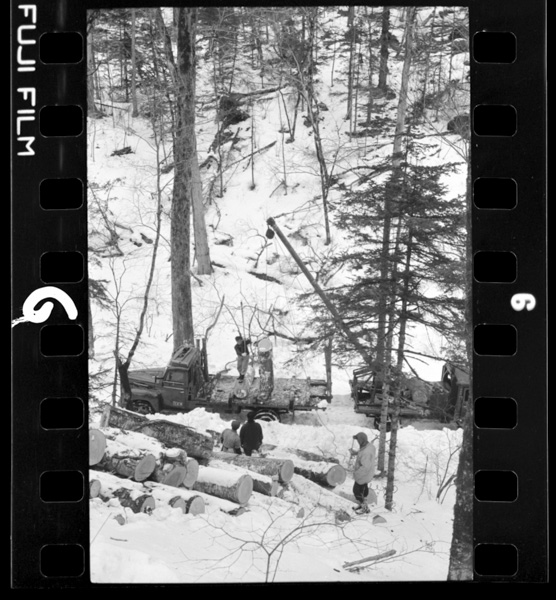 Fuyuyamanomokuzainotsumidashi