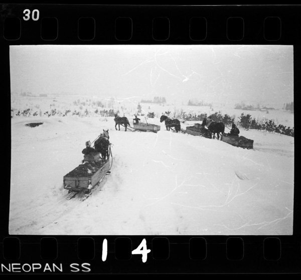 Kyakudo.dotoribakaragenbamadeumasoridehakobu