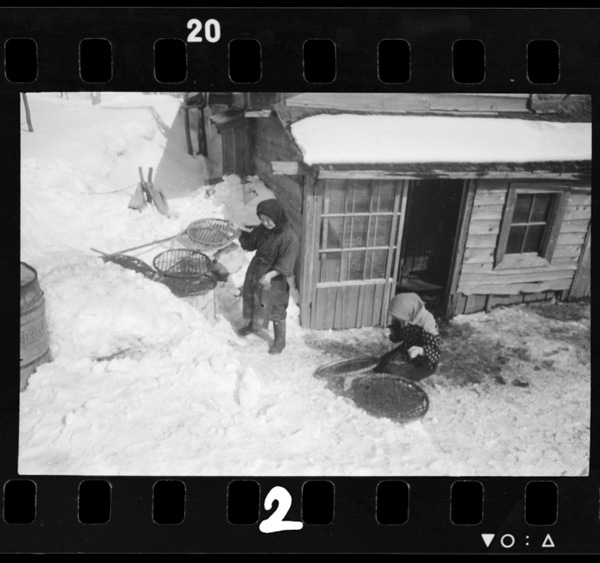 Haenawanojunbiwosurugyokanoonna