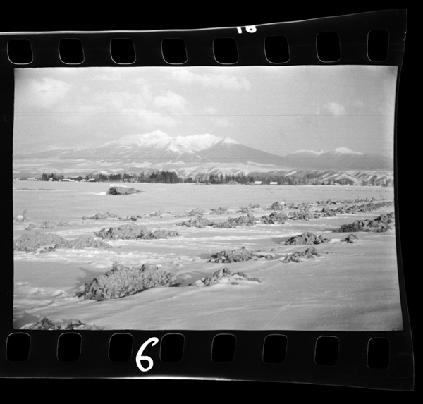 Furanobonchikarahigashinitokachidakewonozomu.temaenomoritsuchihakyakudonoato