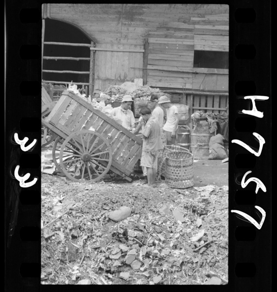 Tonainokuzuya7,277nin.bataya1,135nin.gādoshitanadowofuhousenkyoshitebatayawoitonamumononosuitei3,000nin(1951 8)