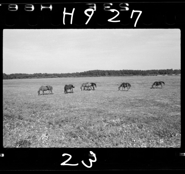 Sanrizuka(keishunoikuseichoukyou) goryoubokujou