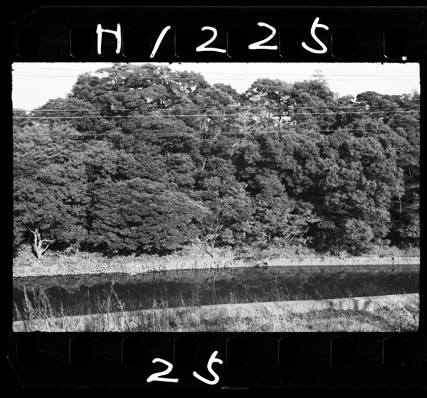 Kyuukanwonokosukioichouatari