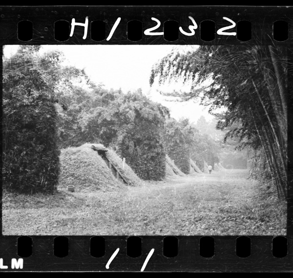 2 4 hikihorigotonimoukeraretakonozoki