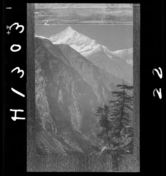 Higashikaramitau゛ァisuhorun